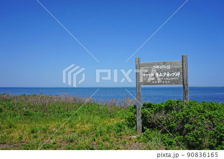 北海道　キムアネップ岬 90836165