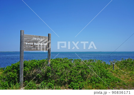 北海道　キムアネップ岬 90836171