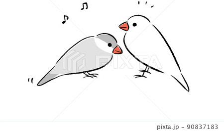 文鳥の歌とダンスのイラスト素材 [90837183] - PIXTA