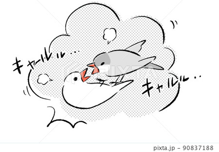 けんかする文鳥のイラスト素材 [90837188] - PIXTA