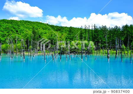 青い池 (北海道美瑛町) 青い池 (北海道美瑛町) 90837400