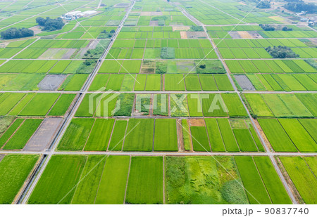 空撮「埼玉県」夏の田んぼを上空から眺めるの写真素材 [90837740] - PIXTA