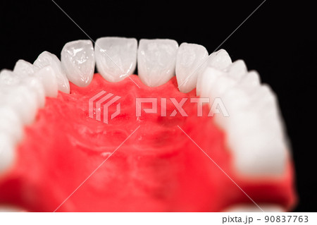 Lower human jaw with teeth anatomy model isolated on black background. Healthy teeth, dental care and orthodontic medical concept. 90837763