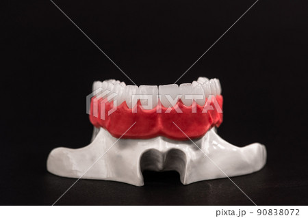 Lower human jaw with teeth anatomy model isolated on black background. Healthy teeth, dental care and orthodontic medical concept. Lower human jaw with teeth anatomy model isolated on black background. Healthy teeth, dental care and orthodontic medical concept. 90838072