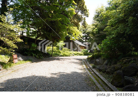 旧古河庭園 90838081