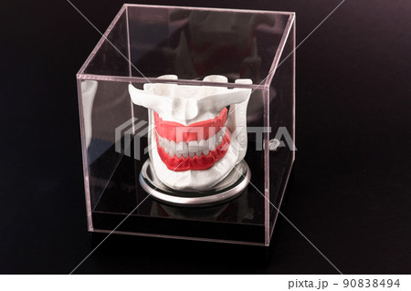 Human jaw with teeth implants anatomy model isolated on black background in a glass box. 90838494