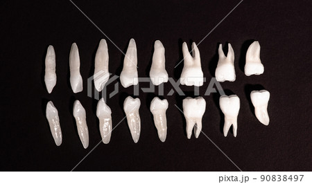Prosthetic dentistry White teeth on black background Oral dental hygiene Dental health concept Oral care teeth restoration top view. Prosthetic dentistry White teeth on black background Oral dental hygiene Dental health concept Oral care teeth restoration top view. 90838497
