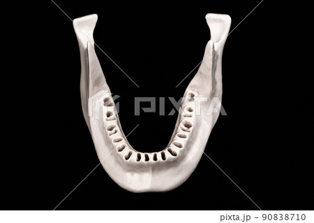 Upper human jaw without teeth model medical implant isolated on black background. Healthy teeth, dental care and orthodontic concept. 90838710