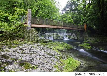 初夏の新緑が美しい菊池渓谷 （熊本県菊池市） 90838753