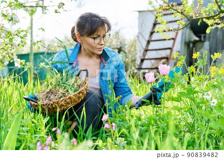 Woman in gloves with shovel weeding spring flower bed from weeds Woman in gloves with shovel weeding spring flower bed from weeds 90839482