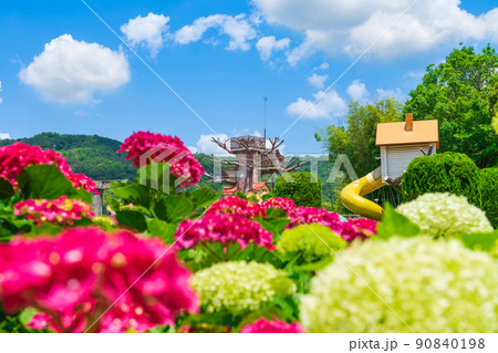 市民四季の森、満開のあじさい〈愛知県小牧市〉 90840198