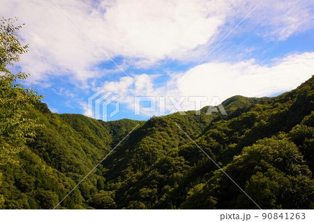 不二洞　鍾乳洞　出口からの景色　川和自然公園　県天然記念物 90841263