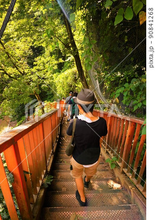 不二洞　鍾乳洞　帰り道　階段　川和自然公園　県天然記念物 90841268