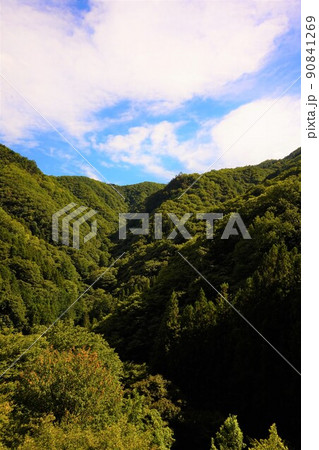 不二洞　鍾乳洞　野鳥観察位置　川和自然公園　県天然記念物 90841269