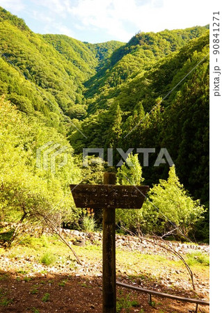 不二洞　鍾乳洞　野鳥観察位置　川和自然公園　県天然記念物 90841271