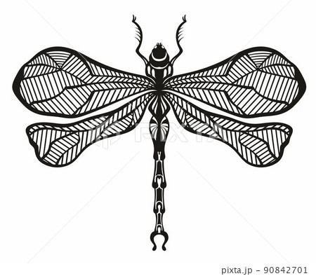 Dragonfly hand drawn graphic illustration. Tattoo design 90842701