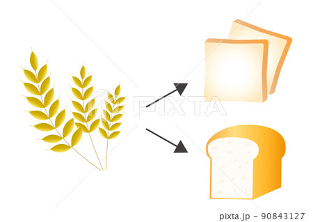 パンの原料となる小麦のイラストのイラスト素材