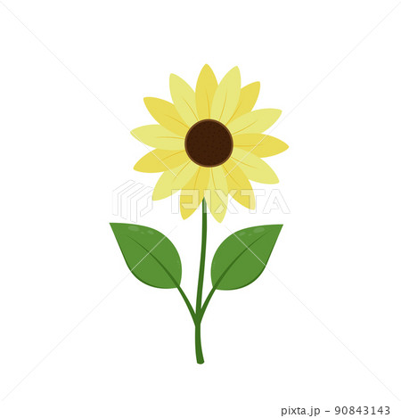 Sunflower icon isolated on white background vector illustration. Cute hand drawn flower. Sunflower icon isolated on white background vector illustration. Cute hand drawn flower. 90843143