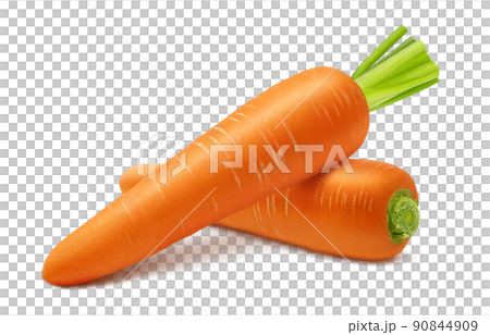 にんじん 人参 イラスト リアル セット 90844909