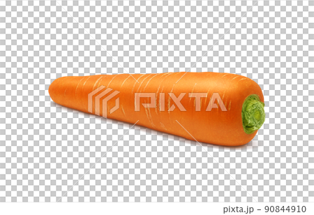 胡蘿蔔胡蘿蔔插畫真正的單一物質 胡蘿蔔胡蘿蔔插畫真正的單一物質 90844910