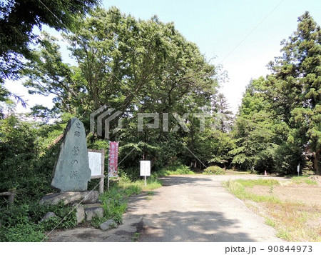 鶯の瀬公園 鶯の瀬公園 90844973