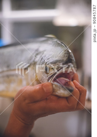 キッチンで魚を捌く男性の手元 沖縄県宮古島の美味しい白身魚シーラ キッチンで魚を捌く男性の手元 沖縄県宮古島の美味しい白身魚シーラ 90845787