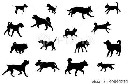 Group of dogs various breed. Black dog silhouette. Group of dogs various breed. Black dog silhouette. 90846256