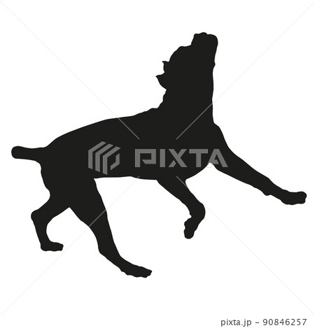 Jumping cane corso italiano puppy. Dog silhouette. Jumping cane corso italiano puppy. Dog silhouette. 90846257