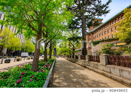 神奈川県 横浜市 神奈川県庁(キングの塔) 神奈川県 横浜市 神奈川県庁(キングの塔) 90849605