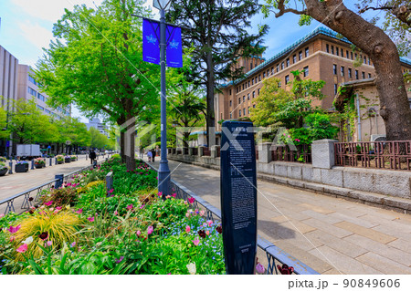 神奈川県　横浜市　神奈川県庁（キングの塔） 90849606