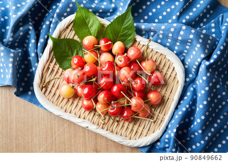 ザルに盛ったさくらんぼ（山形県産佐藤錦） 90849662