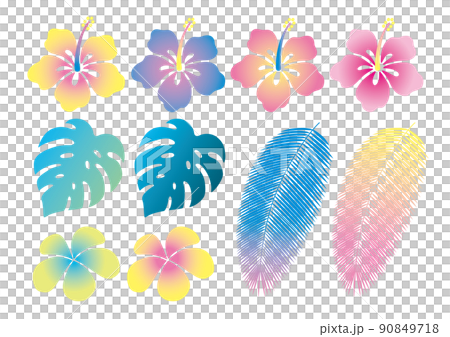 霓虹色芙蓉等熱帶部分 90849718