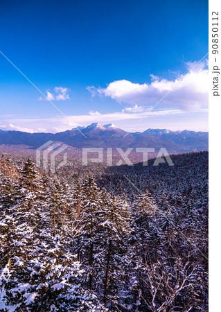 北海道 山 木 北海道 山 木 90850112