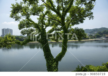 晋州城 チョクソクル 晋州市 90850719