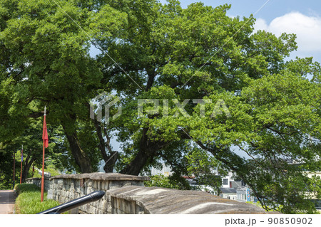 晋州城 晋州市 慶南 90850902