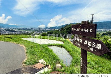 四十八枚田 90851205