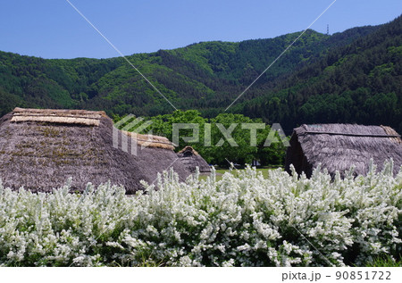 ウツギが咲く平安時代の村 90851722