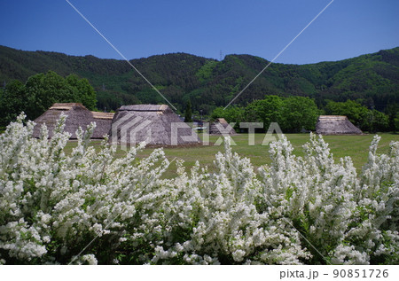 ウツギが咲く平安時代の村 90851726