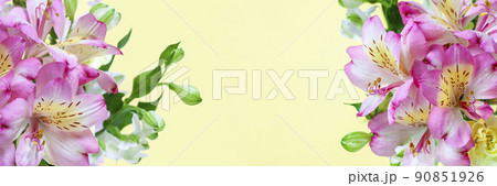 アルストロメリアのイメージ素材 90851926