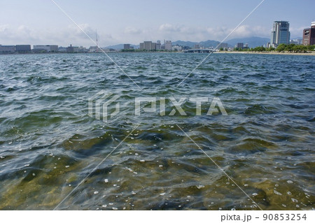 SDGs 中海宍道湖ジオパーク指定の美しい宍道湖岸 90853254