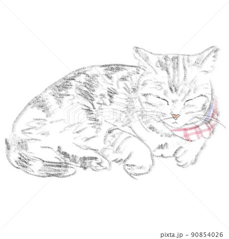 目をつむって寝転ぶアメリカンショートヘアの猫のイラストのイラスト 