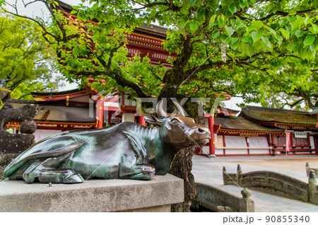福岡県　太宰府天満宮　～御神牛と楼門～ 90855340