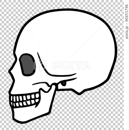 Skull, skull, human head bone, sides, black and white 90855796