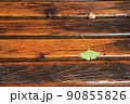 雨の木製ベンチ上に落ちた銀杏（イチョウ）の葉（緑） 90855826