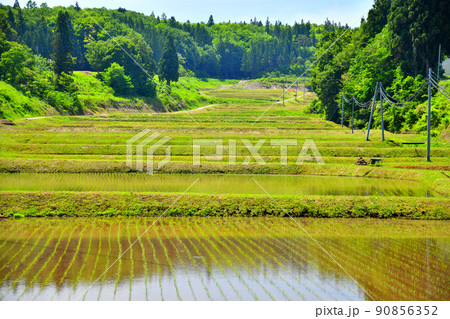 長野県栄村 野田沢地区(長野県栄村)【2022.5】 長野県栄村 野田沢地区(長野県栄村)【2022.5】 90856352