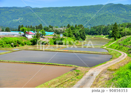 長野県栄村 野田沢地区(長野県栄村)【2022.5】 90856353