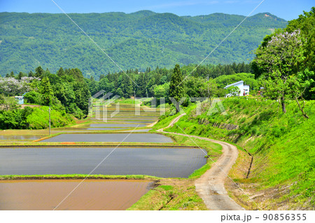 長野県栄村 野田沢地区(長野県栄村)【2022.5】 90856355