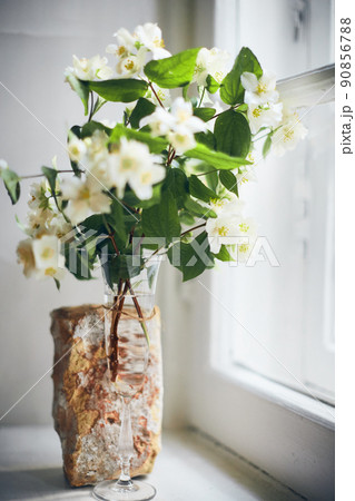 A bouquet of jasmine flowers in a wine glass on a windowsill. Vertical photo. A bouquet of jasmine flowers in a wine glass on a windowsill. Vertical photo. 90856788