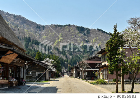 桜満開の白川郷の春景色 90856983