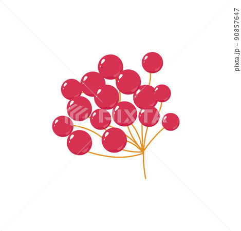 Guelder rose illustration National symbols of Ukraine. 90857647